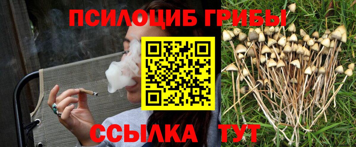 Галлюциногенные грибы Psilocybine cubensis  Псилоцибиновые грибы Magic Shrooms  Вход с VPN  Сарапул 